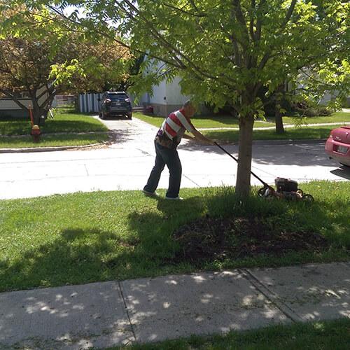 Cutting Grass